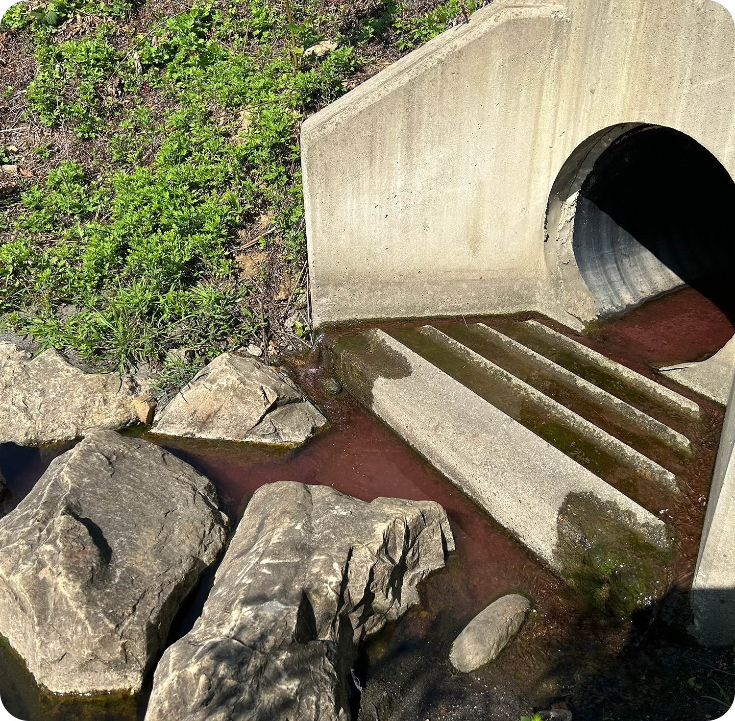 dye testing after results