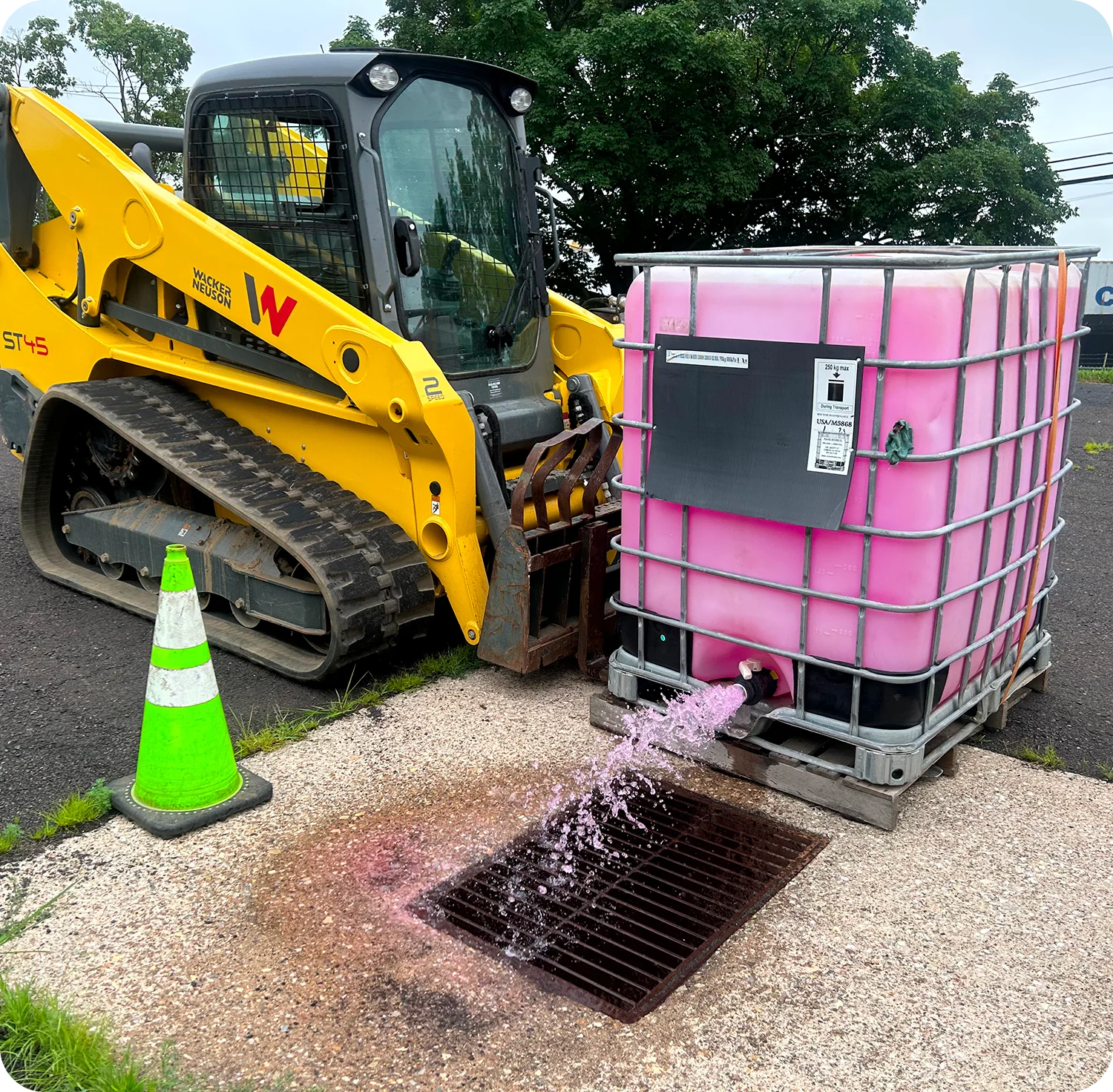 dye testing in action