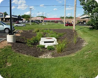 Bioretention Basins