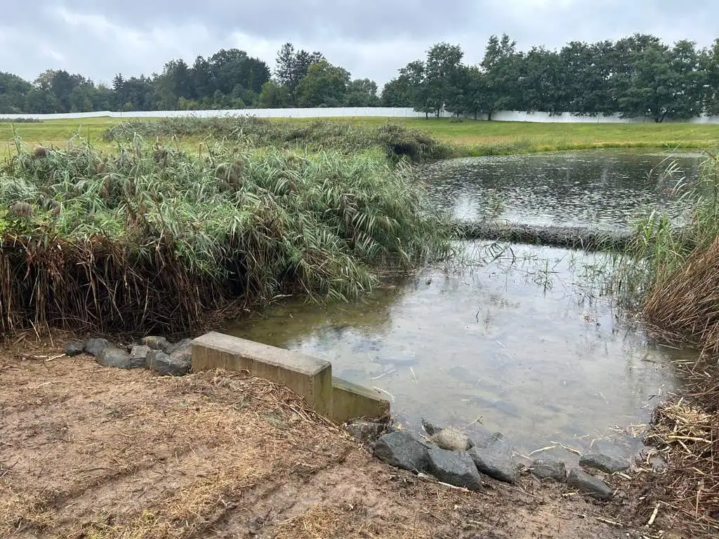 basin after dredging