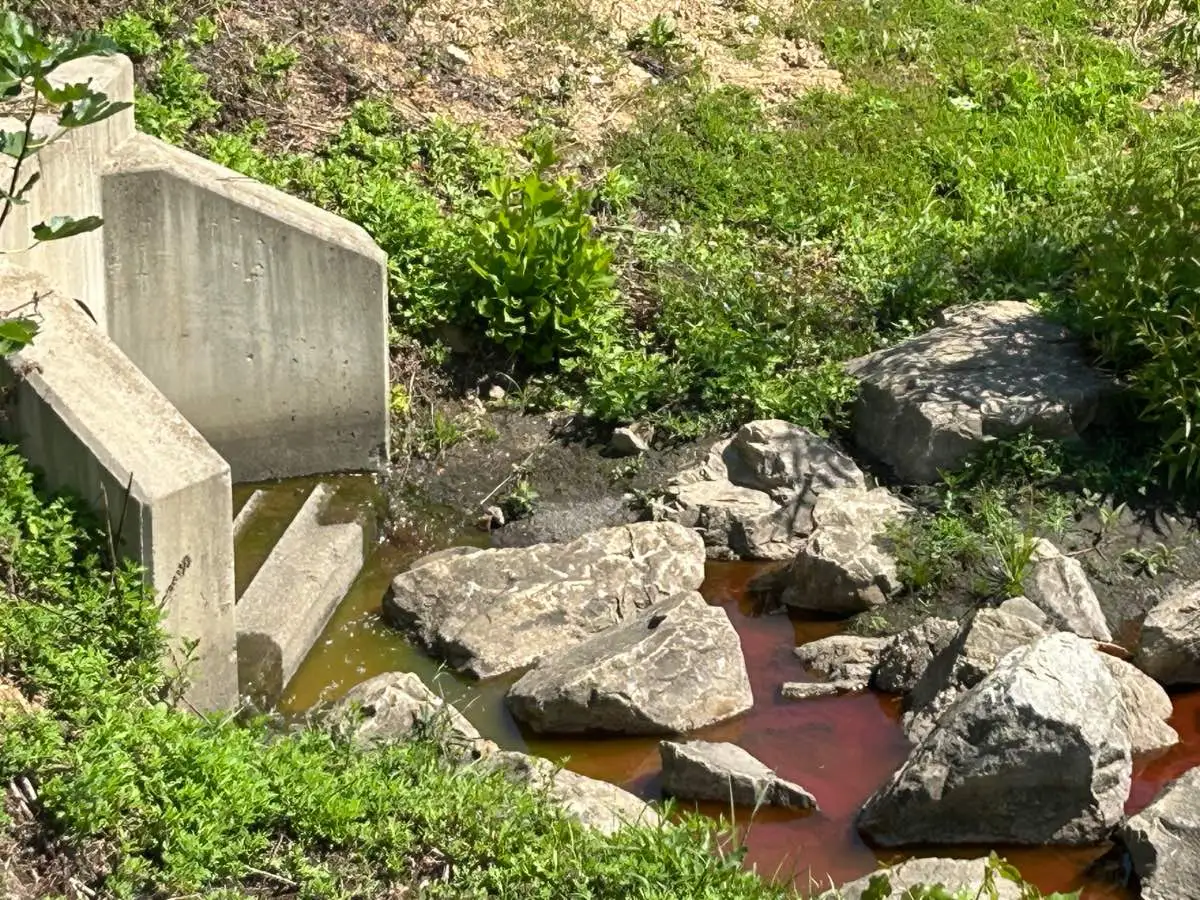 dye testing after results