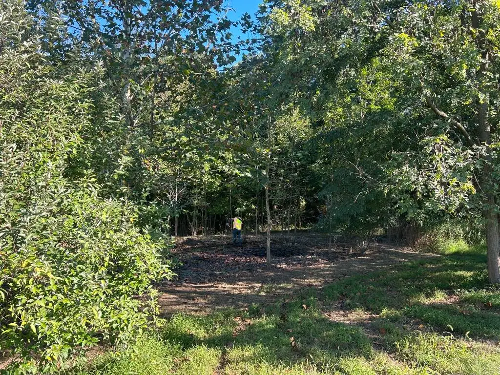 worker mapping out green space plan